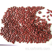 frijoles rojos oscuros